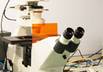 Fluorescence microscope